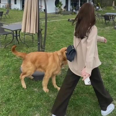 炮制女朋友粤语 海报