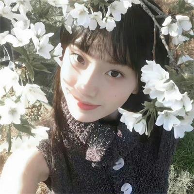 调查者：仅供执勤 海报